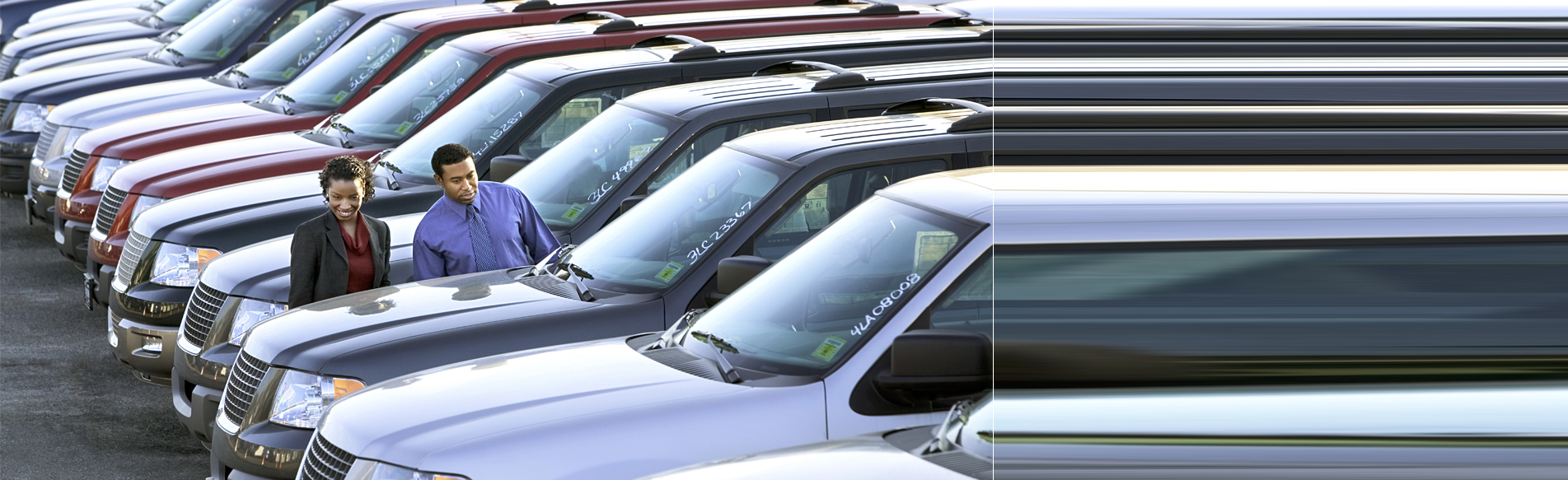 Everett Auto Clinic Expert Repair Wa 98201 We Cars Too